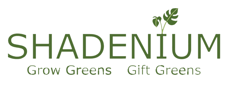 without BG-final-logo